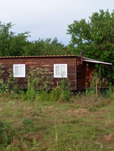 This image depicts a rustic, wooden cabin nestled in a verdant, overgrown landscape in Roza, Bulgaria. The single-story cabin, constructed from horizontal brown wooden planks, features two prominent white-framed windows on its left side. To the right, a small, covered porch with a wooden railing is visible, leading to a wooden door. A metal chimney pipe extends from the side of the cabin, and a small bell hangs near the porch door. The roof appears to be made of corrugated metal.

The cabin is elevated on a raised foundation or stilts, with a wire mesh or netting visible underneath. The foreground and the area immediately surrounding the cabin are densely covered with tall, green grass and various weeds and plants, suggesting an untamed natural environment. A dense backdrop of lush green trees frames the cabin, meeting a light, overcast or hazy sky above.

The scene portrays a tranquil, rural setting during daytime, likely on a cloudy or overcast day, given the soft, diffused light and the lack of harsh shadows. No people or specific activities are visible, contributing to a sense of solitude and peace. The worn appearance of the cabin's wooden exterior suggests it has been exposed to the elements over time. No discernible text is present in the image.