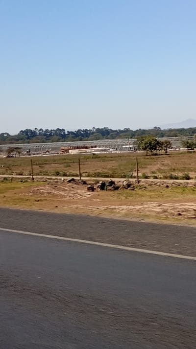 A roadside view features a dark asphalt road in the foreground. Beyond, a field transitions to a construction or industrial site with long, white structures resembling greenhouses. Trees line the distant horizon, with a clear blue sky above. The landscape suggests a rural setting with evidence of human modification.