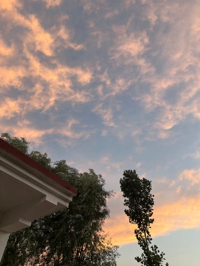This image, captured in Kabal, Pakistan, depicts an outdoor scene at either dawn or dusk. The upper two-thirds of the frame are dominated by a sky featuring scattered cumulus clouds, illuminated with soft orange, peach, and pink tones that transition into areas of pale blue and light grey. In the lower left quadrant, the eave and corner of a light-colored building are visible, characterized by a reddish-brown roof edge above stepped architectural details. A small, dark fastener or nail is present on the underside of the reddish-brown edge. Dense green foliage from trees or shrubs is visible behind the building structure and across the mid-left. On the right side of the frame, a tall, slender tree with dark green foliage stands silhouetted against the sky. No human figures or discernible actions are present.