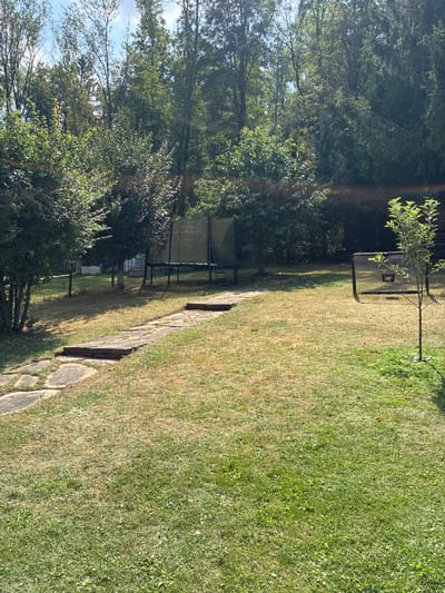 The image depicts a backyard scene in the city of Bad Hersfeld, Germany, bathed in bright sunlight with dappled shadows from the surrounding trees. A flagstone pathway meanders across a lawn that transitions from dry, yellowed grass in the foreground to greener patches further back. To the left, a cluster of leafy green bushes and trees create a dense backdrop, with a metal fence visible behind them.
In the middle ground, two trampolines are set up on the lawn. The trampoline on the left is larger, with a dark green safety net enclosure and a ladder leaning against its side. The trampoline on the right is smaller and appears to be a bounce house or rebounder, with a black frame and a reflective surface that has the word "EXIT" printed on it. A young tree with bright green leaves stands to the right of this smaller trampoline. The background is dominated by a thick wall of various trees, some evergreen and some deciduous, creating a natural border to the property. The sky above is a clear blue with some wispy white clouds. There are no people visible in the image.