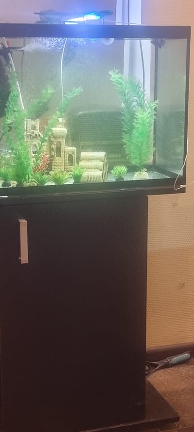 The image shows a dark brown aquarium stand with a light on the top of the aquarium, illuminating the interior. The aquarium contains artificial green plants, a decorative castle, and stacked cylindrical decorations. A thin white cord extends from the top of the aquarium towards the right. The aquarium stand has a single rectangular handle on its left side. To the right of the stand, on the floor, lies a tool with a teal handle and metal components. The background consists of a textured wall. This scene is located in Chernomorskiy, Russia.