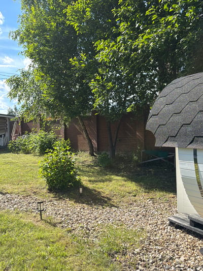 In a backyard located in the village of Alyoshkino DP, Russia, on a bright, sunny day, a small white structure with a dark, shingled, domed roof is visible on the right side of the frame. Adjacent to this structure is a path covered in light-colored gravel. To the left of the gravel path, a well-maintained lawn is present, featuring a few solar-powered garden lights. Further into the yard, a brick wall forms a boundary. Behind the wall, trees with dense green foliage cast shadows on the ground. In the foreground, a small, leafy bush stands in the grassy area. The sky above is blue with scattered white clouds.