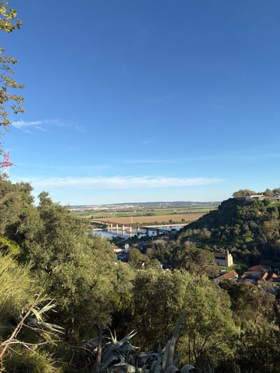 This image displays a panoramic view of a valley landscape within Santarém, Portugal. The upper two-thirds of the frame consists of a clear, bright blue sky with sparse, wispy white clouds concentrated near the horizon line.
In the immediate foreground, dense green foliage occupies the lower portion of the image. This includes numerous small-leaved trees and large, spiky agave plants. On the far left, a red and white lattice-structured electricity transmission tower is partially visible, with multiple parallel power lines extending horizontally across the midground.
The midground features a prominent river, flowing across the scene. A long, multi-arched bridge, reddish-brown in color, spans this river, supported by several visible piers. Beyond the river, the terrain flattens into expansive agricultural fields, appearing in shades of light brown and green, stretching towards the distant horizon.
On the right side of the valley, a steep, tree-covered hill rises. At its summit, a cluster of light-colored, stone-like buildings with dark roofs is discernible. Below this elevation, among the trees and along the lower slopes, scattered residential structures with terracotta roofs are present. A distinct light-colored building with a gabled roof and a small belfry, consistent with a chapel or church, is visible amidst the foliage on the lower right. Another electricity pylon is faintly visible on a distant hill to the right of the river.
The background shows a low-lying urban or suburban area extending across the flat plains on the horizon, characterized by numerous buildings under a slight atmospheric haze. The scene is illuminated by direct sunlight, indicating daytime conditions. No individuals or active human interventions are visible within the depicted area.