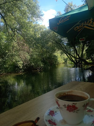 The image depicts a scenic view of a calm river flowing through lush green foliage under a bright blue sky with scattered clouds. In the foreground, a wooden surface is visible, upon which rests a white teacup adorned with a floral pattern, filled with a dark liquid, likely coffee. Beside the cup is a matching saucer. A green umbrella, branded with the text "Nikšićko", is partially visible, suggesting the presence of an outdoor seating area, possibly a cafe or restaurant. The river reflects the surrounding trees and sky, creating a tranquil and picturesque scene, likely located in or near Miločani, Montenegro, given the brand of the umbrella. There are no people visible in the image.