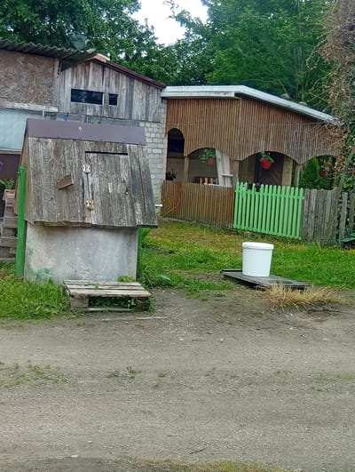 The image depicts an outdoor scene in Šaukėnai, Lithuania, featuring a well and a house with a wooden fence. In the foreground, a weathered wooden well structure stands on a concrete base, with a small wooden platform in front. To the right, a white bucket rests on a dark, flat object in a grassy area. Behind the well and bucket, a wooden-sided house with a covered porch and a bright green wooden fence is visible. The house has decorative red flower pots hanging near the entrance. Overgrown greenery and trees surround the structures, suggesting a rural or suburban setting. The ground is a mix of gravel and dirt.