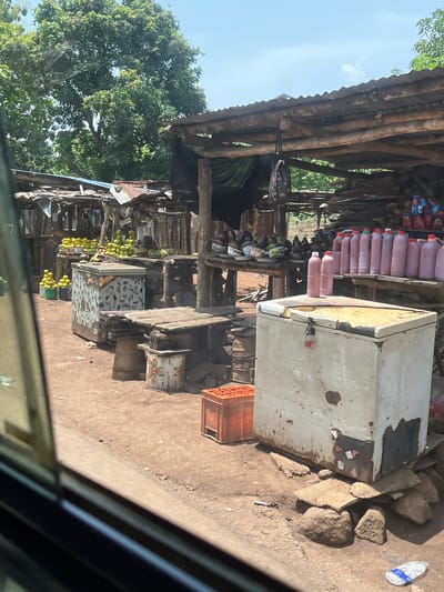 This image captures an outdoor market stall or roadside shop in Karshi, Nigeria, under bright daylight. The setting features a rustic structure built from wooden poles and corrugated metal sheets, providing shade over various goods displayed on wooden tables and shelves.
Key subjects include:
- **Produce:** Several bunches of green bananas or plantains hang from the stall's wooden framework. Piles of green, round fruits, possibly limes or small green mangoes, are arranged on a low table. Another wooden crate holds small orange items, likely tomatoes or oranges.
- **Packaged Goods:** Rows of clear plastic bottles containing a pinkish-red liquid, consistent with palm oil, are neatly displayed on an upper wooden shelf.
- **Equipment:** A large, weathered white chest freezer or cooler, appearing old and possibly non-functional, is prominent near the center, with its insulation partially exposed. It has some indistinct stickers on its side. An old, decorated metal bucket or container sits on the ground near one of the stalls.
- **Environment:** The ground is dirt, interspersed with several rough stones. Large green tree foliage is visible in the background and to the left, indicating a lush natural environment. The sky is clear blue with minimal clouds, suggesting sunny weather.
No people are clearly visible, but the setup implies active commerce. A white flip-flop and a small dark object are visible on the dirt ground. No legible text is discernible on any of the items. The scene portrays a functional, open-air retail environment typical of the region.
