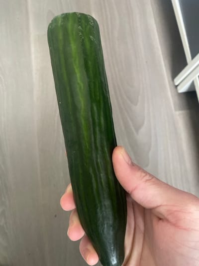 The scene depicts a single, dark green European cucumber held vertically by a human right hand in an indoor environment located in Oberhausbergen, France. The cucumber is elongated, cylindrical, and features prominent darker green longitudinal stripes against a lighter green background, with minor surface imperfections. The hand grasps the lower half of the cucumber, with fingers visible on the left side and the thumb on the right. The background consists of a light-colored wooden floor exhibiting distinct grain patterns. A partial view of a white object, likely a stand or frame, is discernible in the upper right quadrant of the image. No other individuals or significant actions are observed.