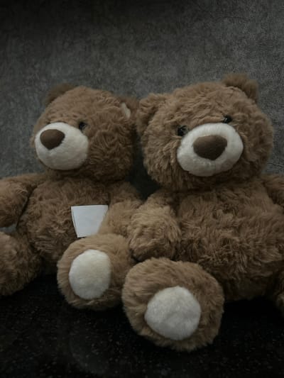 Two brown teddy bears rest on a textured gray and black surface. The bears are oriented at an angle, their faces close together. Both have light-colored muzzles and paws. One bear has a visible tag. The texture of the fur and the surface varies from rough to smooth, creating a tactile visual experience. The angle and lighting contribute to an intimate and playful composition.
