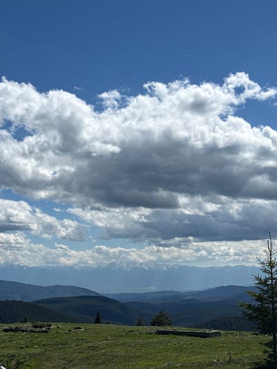 The image captures a panoramic view of a mountainous landscape under a cloudy blue sky. In the foreground, a grassy meadow is dotted with small yellow flowers and a few scattered rocks. A stone structure, possibly a trough or a marker, lies in the middle ground. Dark green, densely forested hills recede into the distance, forming layers of undulating terrain. Further away, a range of snow-capped mountains is visible, appearing hazy due to the atmospheric perspective. A tall evergreen tree stands on the right side of the frame, partially obscuring the distant mountains. The overall impression is one of a natural, serene environment, likely in a rural or mountainous region. The image does not contain any people or evidence of human activity beyond the stone structure. The location is identified as Cherna Mesta, Bulgaria.