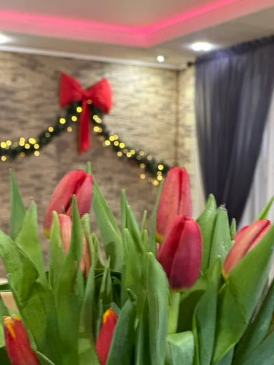 The image displays a close-up, shallow depth of field perspective of a bouquet of red and nascent pink tulips with vibrant green leaves dominating the foreground. Several tulip buds are visible in various stages of development. The background, rendered out of focus, reveals an indoor setting. A textured, light-colored wall is decorated with a large red fabric bow positioned centrally above a festive garland of green foliage interspersed with small, glowing warm-toned string lights. The ceiling, partially visible at the top, is white and features a pink LED strip light running along a perimeter edge, alongside recessed spotlights. A dark curtain is partially visible on the right side of the background. No individuals or specific identifying geographical markers for the city of Базарово, Russia, are discernible within the provided image.