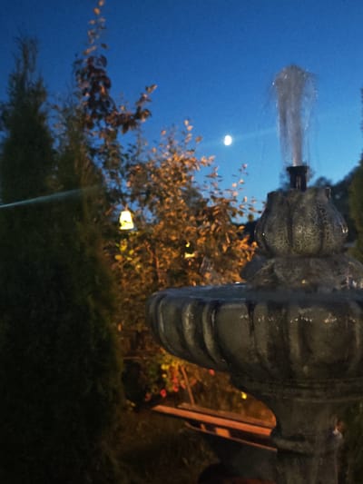 A fountain with water jetting upwards is in the foreground, partially obscuring the background. To the left, a dark green, conical evergreen tree dominates the left side of the frame. Behind the evergreen, the branches of a tree with autumn foliage are visible, illuminated by an unseen light source, casting a warm glow. A single, bell-shaped lantern hangs from a branch in the mid-ground. The sky is a deep blue, indicating twilight or nighttime, with a faint crescent moon visible in the upper right quadrant of the image. The scene appears to be an outdoor setting, possibly a garden or park, in Надежда Снт, Russia.