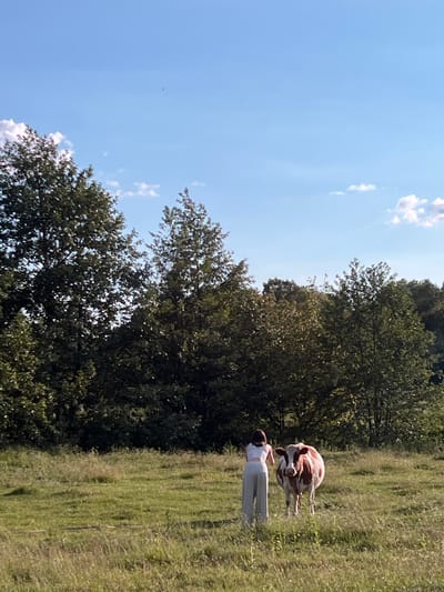 In a grassy field, a person wearing a white top and loose grey pants stands facing a cow. The cow is predominantly white with large brown patches and is looking towards the person. Behind them, a dense line of green trees forms a backdrop under a clear blue sky with scattered white clouds. The scene appears to be an outdoor rural setting, possibly on the outskirts of Vertelka, Ukraine, given the implied context. The overall atmosphere is peaceful and natural.