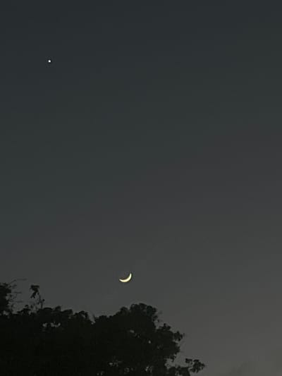 A crescent moon is visible in the dark sky, positioned above the silhouette of trees. A bright, small, white dot, likely a star or planet, is also present in the upper left quadrant of the image. The overall scene is that of a night sky with celestial bodies. The location is Conuco Viejo, Venezuela.