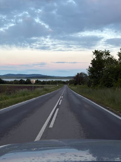 A vertical orientation image shows a road in Cherni Vrah, Bulgaria. The asphalt road is wet and features two white parallel lines. Adjacent to the road is green vegetation and trees. In the distance, a body of water and mountains are visible, partially obscured by trees and a round road reflector. The sky on the left side of the frame features clouds and a pinkish hue. The right side of the frame appears to show a portion of a vehicle's reflective surface with water droplets.