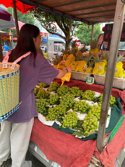 This media file captures an outdoor scene, likely a fruit stand, in Chongzhou City, China. A woman with long dark hair and glasses is the primary subject, wearing a purple t-shirt and checkered pants. She appears to be a vendor or customer at the stand, indicated by her interaction with the fruit.

The stand is laden with fresh produce, prominently featuring bright yellow pineapples, each wrapped in a protective yellow net. Bunches of vibrant green grapes are also displayed, some still attached to their leafy stems. The fruits are arranged in plastic baskets and on top of what appears to be a reddish-pink cloth.

A yellow woven basket, possibly for carrying purchases, rests on the woman's lap. The background reveals hints of the setting: trees with lush green foliage, a white truck, and other market stalls with red and blue awnings. There's a QR code visible on a white surface near the fruits, suggesting a cashless payment option. The overall impression is that of a bustling, possibly daytime, market environment. The woman's posture and the setting suggest a transaction or preparation for one is underway, though her specific emotion is not discernible. The image is oriented vertically.