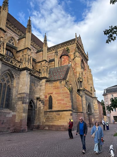 This is a photograph taken in the city of Colmar, France, featuring the exterior of a large, historic cathedral. The cathedral is constructed primarily of sandstone, with distinct sections of pink and yellow stone. The architecture is Gothic, characterized by pointed arches, ornate stonework, and spires. The roof is tiled with colorful patterned tiles, predominantly green and red. Gargoyles are visible on the exterior. The foreground is paved with cobblestones, arranged in a semicircular pattern.

Several people are present on the cobblestone plaza. In the mid-ground, a man wearing a blue shirt and a grey jacket is walking towards the camera, holding a phone in his right hand. Beside him, a woman in a light blue coat and pale blue pants is also walking towards the camera, carrying a light-colored bag over her shoulder and holding a red flower. To their left, a person in a red jacket and yellow cap is holding up a camera, appearing to take a photograph. Further in the background, a few more individuals are visible, including a woman in a white shirt and blue pants, and another woman in a light blue jacket. A small white dog on a leash is in the lower right corner of the frame.

In the background, to the right of the cathedral, a pale pink building with a dark roof is visible. The sky is partly cloudy, with patches of blue sky and white clouds. Trees with green leaves are present in the upper right portion of the image, as well as a smaller tree to the right of the pink building. The overall atmosphere of the image suggests a daytime scene with moderate weather.