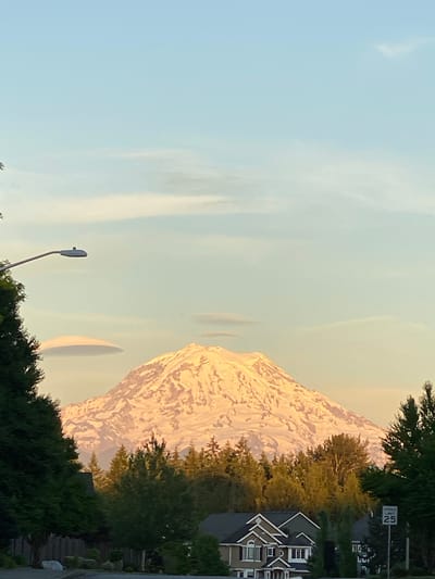 In South Hill, United States of America, a majestic, snow-capped mountain, likely Mount Rainier, dominates the background under a clear, pale blue sky. The mountain's summit is bathed in the warm, golden light of either sunrise or sunset, highlighting its rugged contours and snowfields. In the middle ground, a dense line of evergreen trees forms a dark green contrast against the lighter sky and the mountain. Below the treeline, several houses with peaked roofs and visible windows are nestled, suggesting a suburban residential area. To the left, a dark green tree partially obscures a portion of the scene. A street lamp with a curved arm extends into the sky on the left side of the image. A lenticular cloud, shaped like a lens or saucer, hovers near the mountain. A "Speed Limit 25" sign is visible on the right side of the road in the foreground. The overall scene depicts a serene landscape where nature and residential development coexist.