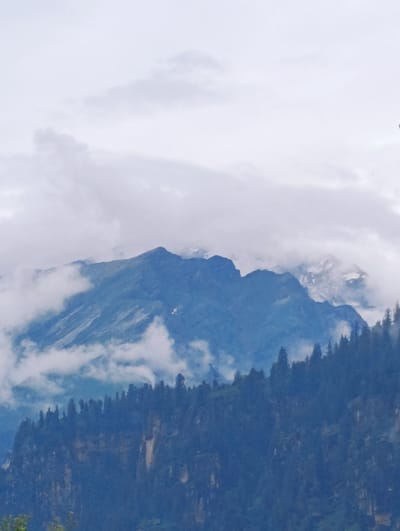 The image shows a landscape view of mountains in Siyal, India. The mountains are tall and rugged, with steep slopes covered in dense vegetation. The sky is overcast with clouds, and there is a light fog or mist hanging over the mountains. The foreground is dominated by a dark, dense forest that climbs the slopes of the mountains. In the distance, the peaks of the mountains are visible, partially obscured by clouds. The overall impression is one of a wild and untamed natural landscape.