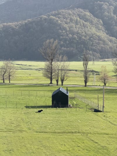 The image shows a landscape in Margahovit, Armenia. A mountain covered in dense forest is visible on the left side of the frame. Adjacent to it is a green field divided by a road lined with bare trees. A small, dark-colored building with a pointed roof is situated on the right side of the road, with a fence extending along its side. A dark object, possibly an animal, stands in the grass near the building. Power lines and poles are visible in the background.