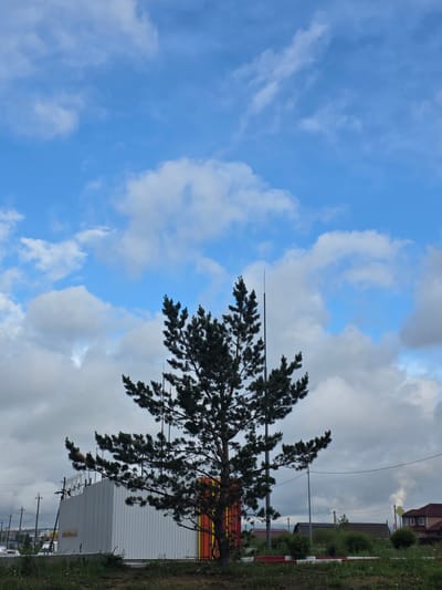 The image depicts a wide shot of a suburban or rural area under a partially cloudy blue sky. In the foreground, a single evergreen tree stands prominently, its dark green needles silhouetted against the sky. To the left of the tree, a large, modern, white building with a corrugated metal exterior is visible. This building appears to be industrial or commercial. A vertical orange and yellow section is attached to the right side of the white building. Beyond the tree and buildings, a low-lying landscape with scattered houses and vegetation is visible. Power lines and poles are present in the background, suggesting a populated area. On the far right, a house with a dark roof and multiple windows is visible, and a plume of smoke or steam rises into the sky behind it. The scene is likely an outdoor industrial or semi-residential area in Chita, Russia. There are no people or animals visible in the image.