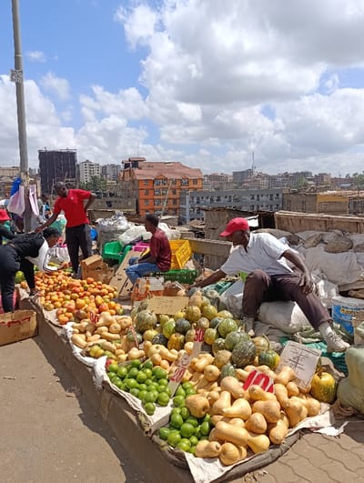 An outdoor market scene displays a colorful array of produce. Tomatoes, butternut squash, limes, and pumpkins are prominently featured on a raised table. Several people are present, including a man in a red cap examining the pumpkins. A man in a red shirt stands near the tomatoes. Buildings and a cloudy sky form the background. Price signs are interspersed among the produce.