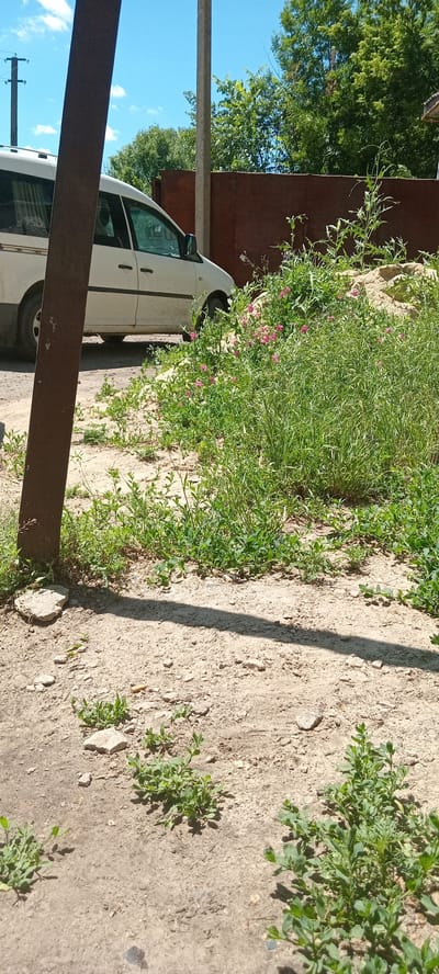 In Koviagy, Ukraine, a white minivan is parked on a dirt lot. The van, which appears to be a passenger van, is positioned next to a large patch of overgrown green vegetation with scattered pink flowers. A tall, dark metal pole stands in the foreground, casting a shadow across the dusty ground. Beyond the vegetation, a rusty brown fence is visible, with lush green trees lining the top. The sky above is a clear blue with a few white clouds. The scene suggests a rural or semi-urban setting, possibly a residential area or a vacant lot on the outskirts of town. There are no people visible in the image.