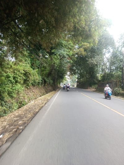 The image depicts a daytime scene on an asphalt road in Sat Thay (East), Myanmar. The road features two lanes, separated by a single yellow center line, and appears to be slightly damp or reflective in areas. On the left side of the road, a steep embankment is densely covered with dark green foliage and trees, including what appear to be bamboo plants overhead. Multiple power lines are strung along utility poles visible on this left side. The right side of the road also exhibits dense green trees and vegetation, with a section of a concrete or stone wall visible further down.
Several motor scooters are present on the road, all traveling in the same direction, away from the viewer. In the foreground on the right lane, a light blue scooter is occupied by two individuals. The driver wears a white helmet and a light-colored top, while the passenger wears a red top and light-colored pants. Both figures and the scooter show motion blur. Further down the road, in the left lane, a group of three additional scooters is visible. The lead scooter carries a single rider wearing a light helmet and top. The second scooter also has a single rider with a dark helmet and light clothing. The third scooter is ridden by an individual wearing a dark top and a red head covering. These scooters also exhibit slight motion blur. The sky is bright white, partially obscured by the tree canopy directly overhead.