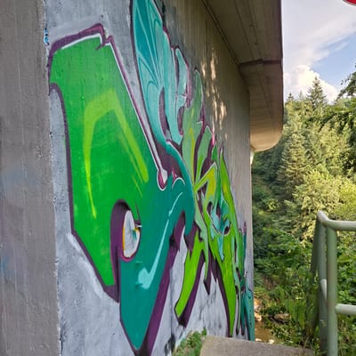 The image depicts a section of a concrete bridge structure with graffiti art on its wall. The graffiti is predominantly green with purple and white accents. The bridge is situated in a natural environment with a dense forest of coniferous trees visible in the background, suggesting a location possibly near a wooded area or park. A metal railing, painted green, is visible on the right side of the image, alongside some vegetation. The sky is partly cloudy. The scene appears to be outdoors during daylight. The specific location in Forbach, Germany, is not evident from the visual cues alone, but the presence of a bridge and surrounding nature is notable.