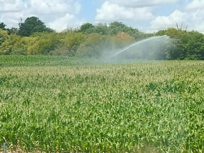 This media file depicts a rural agricultural scene. The primary subjects are a vast field of young corn crops, stretching towards a line of trees in the background. A water sprinkler system is actively watering the field, with a visible arc of water spraying from a central point. The sky above is partly cloudy, suggesting daytime. The overall setting appears to be a sunny day, with lush green vegetation dominating the landscape. There are no visible people, text, or specific emotional cues. The location context suggests this scene is situated in Dompierre-sur-Besbre, France.