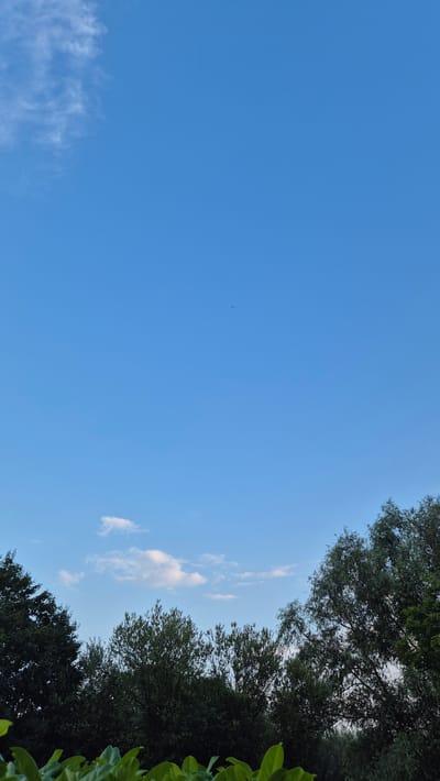 The image shows a clear blue sky with a few wispy clouds in the upper left and lower middle. Silhouettes of trees with dense foliage form the lower edge of the frame, with some green leaves in the foreground. There are two small, dark specks in the sky that could be birds or distant aircraft. The scene appears to be an outdoor setting, likely a park or garden, in the city of Dissen am Teutoburger Wald, Germany.