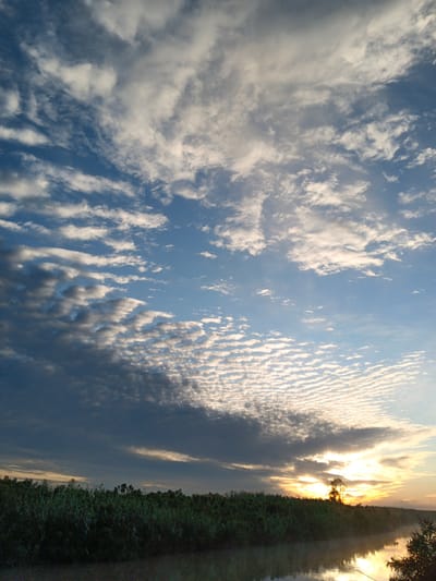 The image depicts a serene natural landscape at sunrise, likely in the vicinity of Dzhiginka, Russia. The sky is a vibrant canvas of blues and whites, with a variety of cloud formations ranging from wispy cirrus to more dense, textured clouds that create a rippled effect. The lower portion of the image features a lush, green treeline bordering a calm body of water. The water reflects the colors of the sky, creating a mirror-like effect. A single, silhouetted tree stands prominently on the horizon, silhouetted against the bright sunrise. The sun itself is low on the horizon, casting a warm, golden light that illuminates the clouds and the water. The overall impression is one of tranquility and the beauty of nature at the dawn of a new day. There are no people or man-made structures visible in the image.