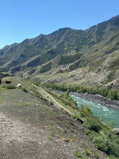 The image shows a landscape with a steep, green, mountainous terrain on the left side and a river flowing on the right. A narrow dirt path runs parallel to the river, along a slope covered with loose gravel and sparse vegetation. There is what appears to be a derelict structure on the lower left of the slope. The sky is clear and blue above the mountain. While the location is stated to be Inya, Russia, the image primarily portrays the natural environment and suggests a location with a steep geographical gradient near a water source. The interaction between the river and the mountainous terrain is evident, and the presence of the path indicates some degree of human influence.