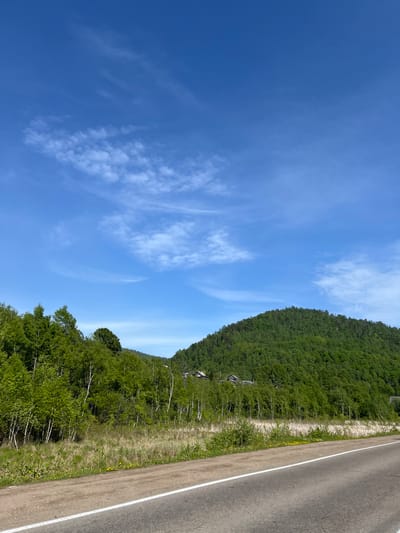The image depicts a rural roadside scene in Nikola, Russia, under a bright blue sky with scattered wispy clouds. A paved road with a white line marking runs along the bottom right of the frame. To the left of the road, a grassy verge with sparse yellow flowers transitions into a densely forested hillside. The trees are a mix of deciduous and coniferous, with numerous slender white birch trees interspersed among the green foliage. In the middle ground, several wooden structures, likely houses or barns, are visible nestled amongst the trees on the lower slope of a large, verdant hill that dominates the right side of the image. The overall impression is of a peaceful, natural landscape.