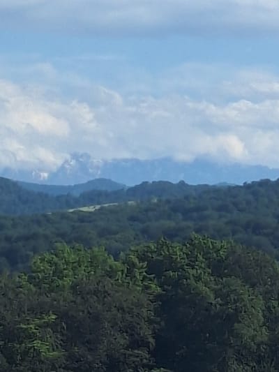 The image depicts a panoramic view of a mountainous landscape under a cloudy sky. In the foreground, lush green trees fill the bottom portion of the frame. Behind them, rolling hills covered in dense forest stretch towards the horizon. In the far distance, majestic snow-capped mountains rise above the treeline, partially obscured by clouds. The sky is a pale blue with soft, white clouds scattered across it. The overall impression is one of natural beauty and tranquility, with layers of vegetation and mountains receding into the distance. The scene is devoid of any human presence or man-made structures. The image is too distant and lacks detail to provide any specific information about Alkhasty, Russia.