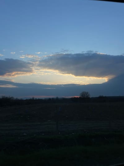 The image displays an outdoor landscape at dusk, located in Prilep, Bulgaria. The upper two-thirds of the frame are occupied by a sky featuring a light blue hue at the top, transitioning into dense layers of dark grey and bluish cumuliform clouds. A prominent horizontal aperture within the central cloud layer reveals a bright golden-orange light source, indicative of a low sun. Below the horizon, a dark agricultural field, possibly a vineyard, extends into the mid-ground. This field contains multiple uniformly spaced, vertical, light blue objects consistent with protective sleeves for young plants. A dense, dark line of trees and bushes forms a silhouette across the mid-ground, with one distinct, bare deciduous tree positioned slightly right of center. Faint outlines of distant hills or mountains are visible along the far horizon, with a localized reddish-orange glow present on the left side, indicating the sun's specific position. The immediate foreground is dark, suggesting ground-level vegetation or an indistinct boundary. No individuals, animals, or actions are discernible within the scene.