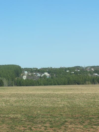 The image depicts a rural landscape in Oreshniki, Russia. The scene is divided into three main sections: a clear, blue sky covering the left side of the frame, a dense line of trees and sparse dwellings running vertically in the middle, and a field transitioning from green to brown dominating the right side. The dwellings scattered amongst the trees suggest a sparsely populated residential area along the edge of the field. The field itself appears unkempt, showing signs of either disuse or naturally occurring vegetation. There are no people, animals, or vehicles visibly present in the scene.