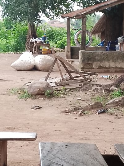The image depicts an outdoor scene in Adikpo, Nigeria. The setting appears to be a somewhat unkempt, possibly rural or semi-urban area, with a mixture of natural vegetation and man-made structures. In the foreground, two wooden benches are partially visible, suggesting a place where people might sit or gather. The ground is dirt and sand, with scattered debris and vegetation.
Dominating the mid-ground are two large, light-colored sacks, likely filled with goods or materials. Nearby, a large rock rests on the ground, surrounded by sparse green grass. A single flip-flop lies on the sandy ground further back. Also in the mid-ground, a rudimentary wooden structure, possibly a makeshift stand or shelving unit, is propped up, leaning against something unseen.
In the background, a rustic shelter with a thatched roof and wooden posts is visible, suggesting a stall or simple dwelling. A circular object, possibly a tire or a coiled rope with striped patterns, hangs from one of the posts. Behind this shelter, lush green trees and foliage create a dense backdrop, with hints of buildings with reddish roofs visible in the distance, indicating a settlement. The overall impression is of a functional, perhaps commercial or communal, outdoor space in a tropical or subtropical climate. The lighting suggests it is daytime, with overcast or diffused light. There is no visible text in the image.