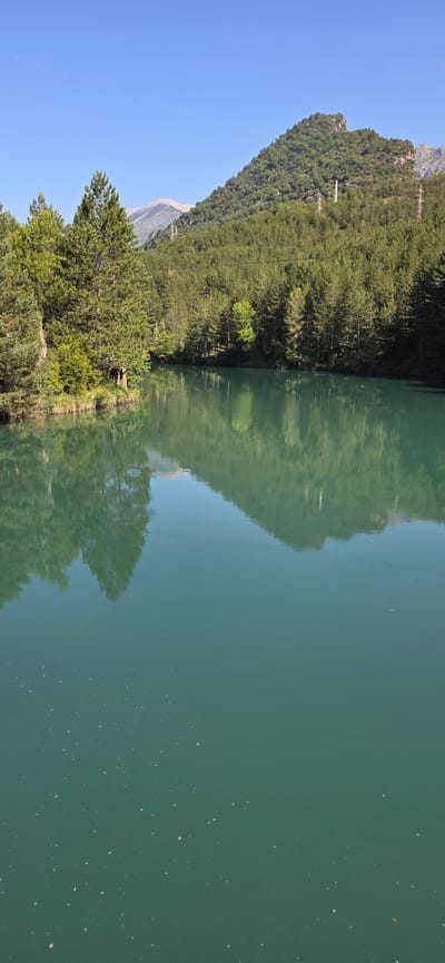 The image shows a body of water, likely a lake, with a reflection of the adjacent landscape. A densely forested hillside rises on the left, and its reflection is visible in the water. Power lines run along the edge of the forest. In the foreground, there is a tree-lined area bordering the lake. The water is a muted greenish-blue color with scattered white specks that suggest floating debris or pollen. The location is Campo, Spain. There are no people visible in the image.