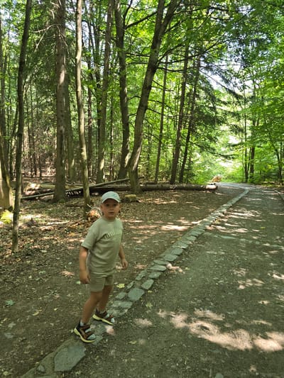 The image depicts a young boy, appearing to be around 4-6 years old, standing on a dirt path in a wooded area. He is wearing a light-colored t-shirt and shorts, a light-colored baseball cap, and sandals. The t-shirt has text that reads "LITTLE LEAGUE". The path is bordered by stones and surrounded by trees with lush green foliage. Fallen logs and branches are visible on the ground in the background, suggesting a natural, undeveloped environment. The lighting indicates it is daytime, with sunlight filtering through the trees, creating dappled shadows on the path. The location is identified as Vilémovice, Czechia.