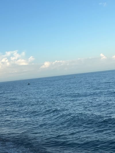 The image shows a landscape with a clear, blue sky on the left side, and a body of water with rippling waves on the right. There are clouds visible near the horizon line. Several unidentified objects are in the sky. The location is unidentifiable, and there are no people present in the frame.