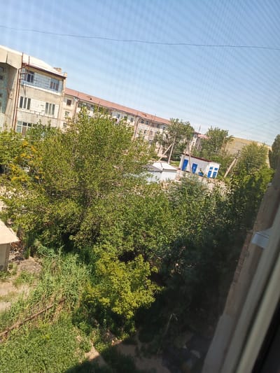 The image, taken from a high vantage point, depicts an outdoor scene in Nukus, Uzbekistan, on a clear, sunny day. The foreground is dominated by lush green trees, some with lighter green, almost yellow foliage, suggesting late spring or summer. Behind the trees, a multi-story building with a reddish-brown tiled roof is visible. This building appears to be an apartment complex or residential block, with multiple windows and balconies. To the left, another building with a lighter facade and lighter colored window frames is partially obscured by the trees. Further into the mid-ground, a small, white, shed-like structure with blue doors stands amidst a patch of greenery and utility poles with wires. The sky is a bright, cloudless blue, with a slight horizontal grid pattern suggesting the image may have been taken through a screen or window with a mesh. The overall environment appears to be a residential area with abundant vegetation.