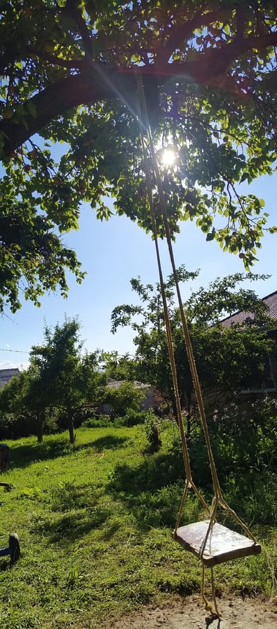 An outdoor scene depicts a wooden swing suspended from a tree branch, its seat glinting in the sunlight. The swing hangs in the foreground against a backdrop of lush green grass and trees. The sun, partially obscured by the tree's leaves, casts bright rays across the image, creating lens flare. In the middle ground, several trees are visible, and further in the background, buildings with tiled roofs suggest a residential area. The sky is a clear, bright blue. The location is identified as Barskoon, Kyrgyzstan. There are no people or animals visible in the frame.
