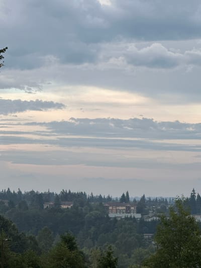 This image depicts a hazy, overcast sky over a densely wooded residential area. In the middle ground, a multi-story building with a red-tiled roof and beige exterior is visible, nestled amongst the trees. The surrounding landscape is characterized by a profusion of evergreen and deciduous trees, with hints of other buildings and rooftops peeking through the foliage in the distance. The overall impression is one of a quiet, possibly suburban setting under a muted, cloudy sky. The location is the city of Lynnwood, United States.