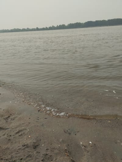 The image depicts a tranquil scene at the sandy bank of a large river, possibly the Ob River, in the vicinity of Bibikha, Russia. The sky is overcast, casting a muted light over the landscape. Gentle ripples disturb the surface of the water, which appears to be a murky brown color. The shoreline is composed of fine sand mixed with small pebbles and shells. In the distance, a dense line of trees forms the opposite bank of the river, creating a dark silhouette against the hazy sky. There are no people or animals visible in the frame. The overall impression is one of quiet solitude and natural beauty.