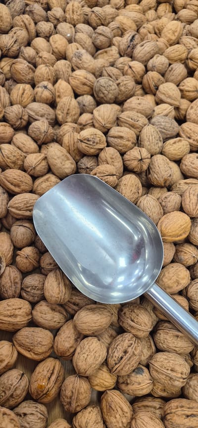 The image shows a close-up, top-down view of a large pile of walnuts, likely displayed in bulk at a market. A metal scoop is positioned diagonally across the frame, partially submerged in the nuts. The walnuts are in their shells, exhibiting a range of brown hues and textured surfaces. Some are whole, while others appear to be cracked or broken. The background is entirely filled with the mass of walnuts, creating a dense, uniform texture. The lighting suggests an indoor setting, possibly a grocery store or market stall. There are no people or specific environmental details that would indicate a location in Navalcarnero, Spain, or any other specific city. The scene is static and focuses solely on the product and the scooping tool.