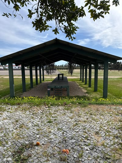 The scene depicts an outdoor shooting range or similar facility in Praia do Ribatejo, Portugal, under a partially cloudy blue sky. In the foreground, a cobblestone path is visible with sparse grass and three fallen, orange-colored objects, possibly fruit, resting on its surface. Beyond the cobblestones, a strip of green grass with yellow wildflowers borders a large, open-sided shelter.
This shelter features a dark green pitched roof supported by multiple dark green rectangular posts. The ground beneath the shelter is covered in sand. Inside the shelter, a long, raised, dark green platform is centered, with a smaller, dark rectangular block or stool positioned on its surface. Numerous dark, U-shaped or circular objects, resembling slings or harnesses, are suspended from the roof rafters within the shelter.
Beyond the shelter, expansive green fields stretch into the distance. To the far left, indistinct white buildings are visible. Further in the background, rows of trees or distant targets are discernable. No individuals are present in the image.