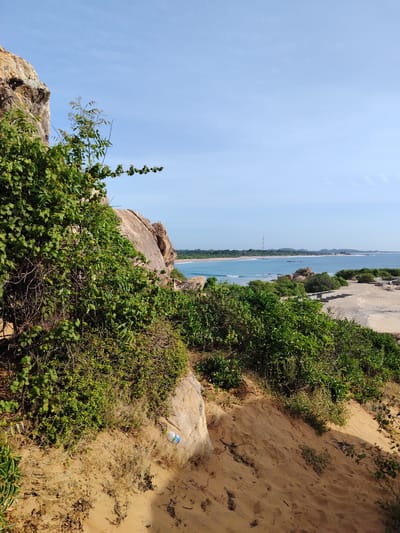 The image depicts a coastal landscape with a view of the ocean. In the foreground, there is a rocky outcrop with dense green vegetation covering it. A sandy slope leads down from the vegetation. The middle ground features more rocks and shrubs, with a sandy beach area dotted with some concrete structures. The background shows the blue ocean with gentle waves, a distant coastline with a tree line, and a clear sky. There are no people or animals visible in the image. The scene appears to be a natural environment, possibly a tourist spot or a secluded beach area. The location is identified as Panama, Sri Lanka, which is known for its coastal scenery and rocky formations.