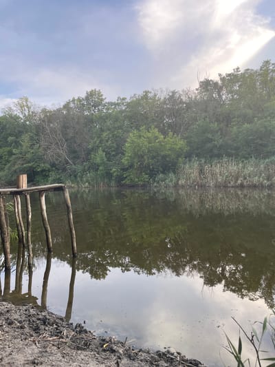 The image depicts a serene waterside scene on a cloudy day. In the foreground, a weathered wooden pier juts out into the water. The pier is supported by several thick, rough-hewn wooden posts partially submerged in the dark, still water. The bank beside the pier is composed of muddy earth with some debris, including twigs and dry leaves. The water reflects the trees and sky above.

Dominating the background is a dense line of lush green trees, with a mix of leafy foliage and some bare, gray branches. Along the waterline, reeds and tall grasses create a textured border between the water and the forest. The sky is a soft blue, with prominent white clouds that partially obscure a bright, diffused light source, suggesting the sun is behind them.

The location is specified as the city of Vilne, Ukraine. The overall atmosphere is tranquil and natural, with the man-made structure of the pier contrasting with the wilder elements of the environment. No people or animals are visible in the frame.