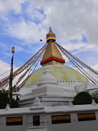 This is a low-angle shot of the Boudhanath Stupa, a significant Buddhist pilgrimage site located in the city of Gokarneshwar, Nepal. The stupa is a prominent structure, with a large, weathered, off-white dome serving as its base. Above the dome, a golden, stepped pyramid structure rises, adorned with colorful prayer flags that stretch across the sky. The pyramid features stylized, blue-painted eyes looking outwards. A single black bird is captured in flight against a cloudy blue sky. In the foreground, a white wall with decorative elements and prayer flags can be seen. A flagpole with prayer flags is positioned to the left of the stupa. A person is visible standing on the white structure behind the wall, facing away from the camera. Lush green bushes and trees are situated behind the stupa and to the right of the frame. The overall lighting suggests an overcast day.