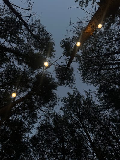 The image shows a view looking upwards through pine trees at dusk. String lights with a warm yellow glow are strung between the trees, illuminating the scene. The sky is a muted, overcast blue. The pine needles and branches are dark and silhouetted against the sky, creating a dense canopy. The perspective suggests the photograph was taken from a ground-level viewpoint in a wooded area. The location is identified as Ivachiv Horishnii, Ukraine.